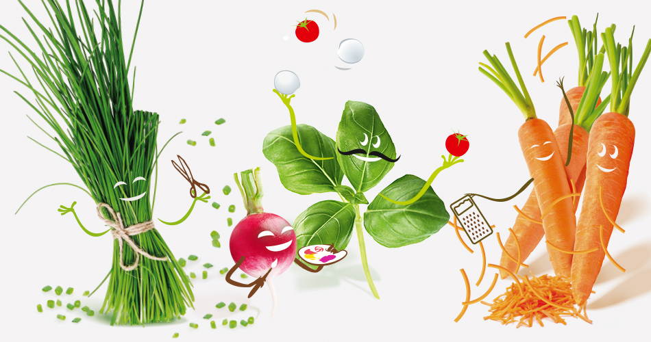 mon-joli-potager-port-4