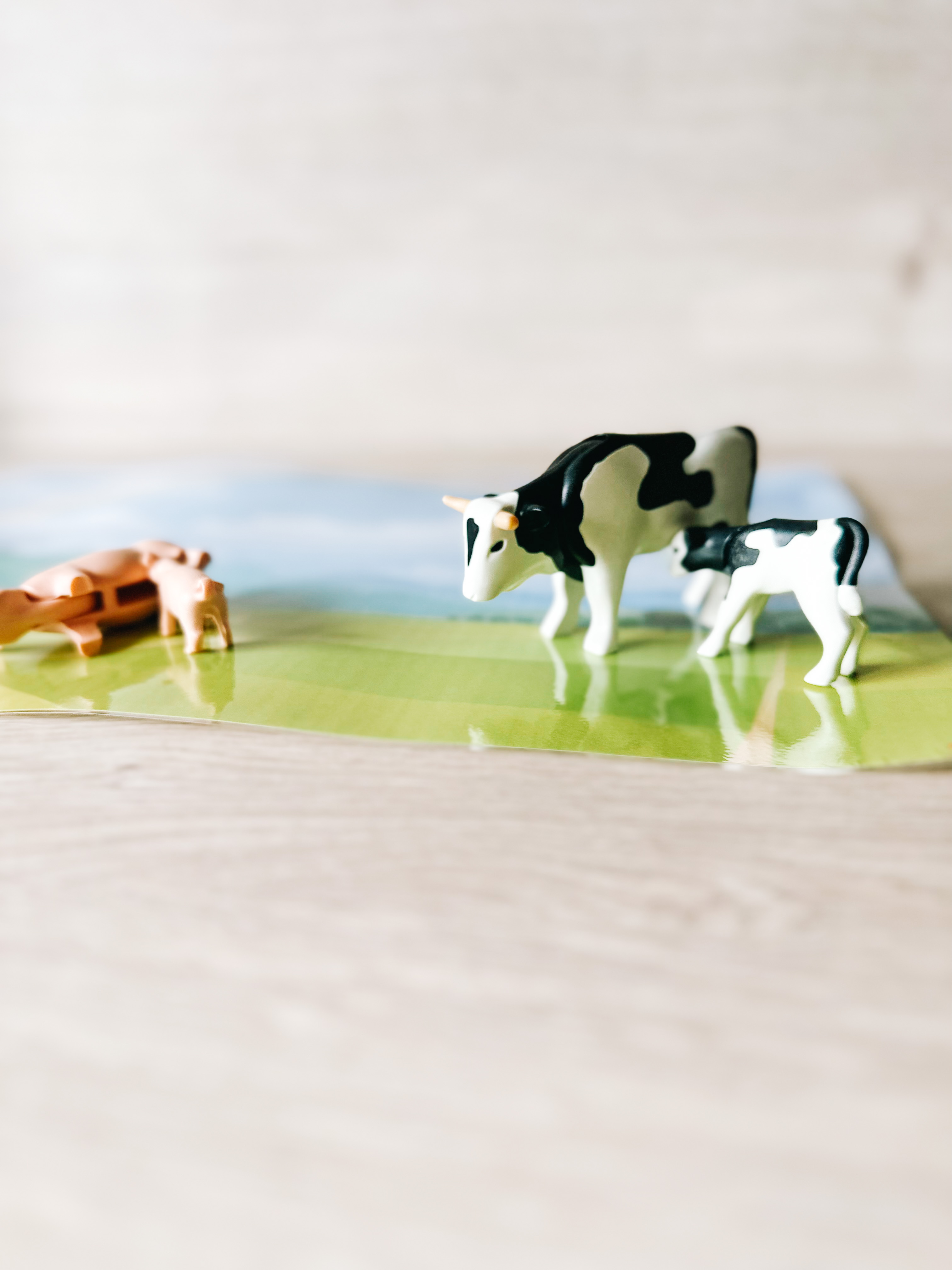 COMMENT VIVENT LES ANIMAUX visual data 8